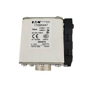 170M6910 170M6919 170M6920进口低压熔断器 保险丝 170M6918