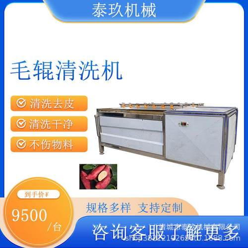 芥菜头毛辊清洗机 山芋去皮清洗设备 桔梗去皮机 洋芋磨皮机