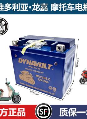 龙嘉摩托车猛狮原厂电瓶维多利亚150si 250 vmax300 v途v咖蓄电池