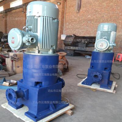 供应HGB型立式滑片泵油库汽油柴油输送泵清油甲醇溶剂输送泵