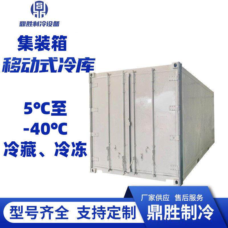 集装箱移动式低温冷库水果冷库蔬菜保鲜冷库鲜花移动冷库厂家定制
