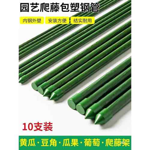 花架托架爬藤架葡萄黄瓜豆角架植物支撑杆种菜花支架园艺户外庭院