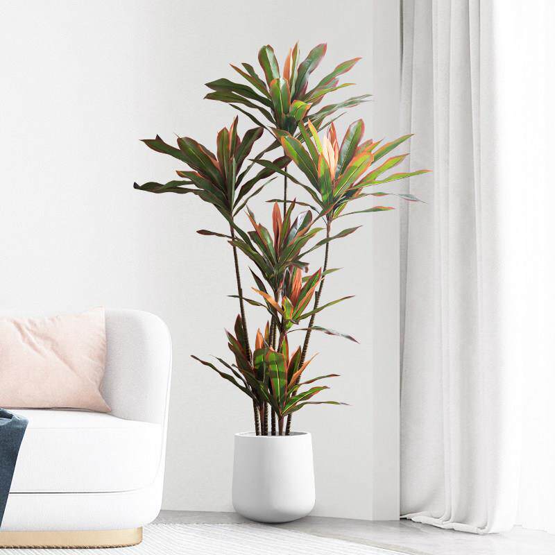 彷真绿色植物假植室内装饰落栽大型彷红铁树-生绿盆植客厅假花物
