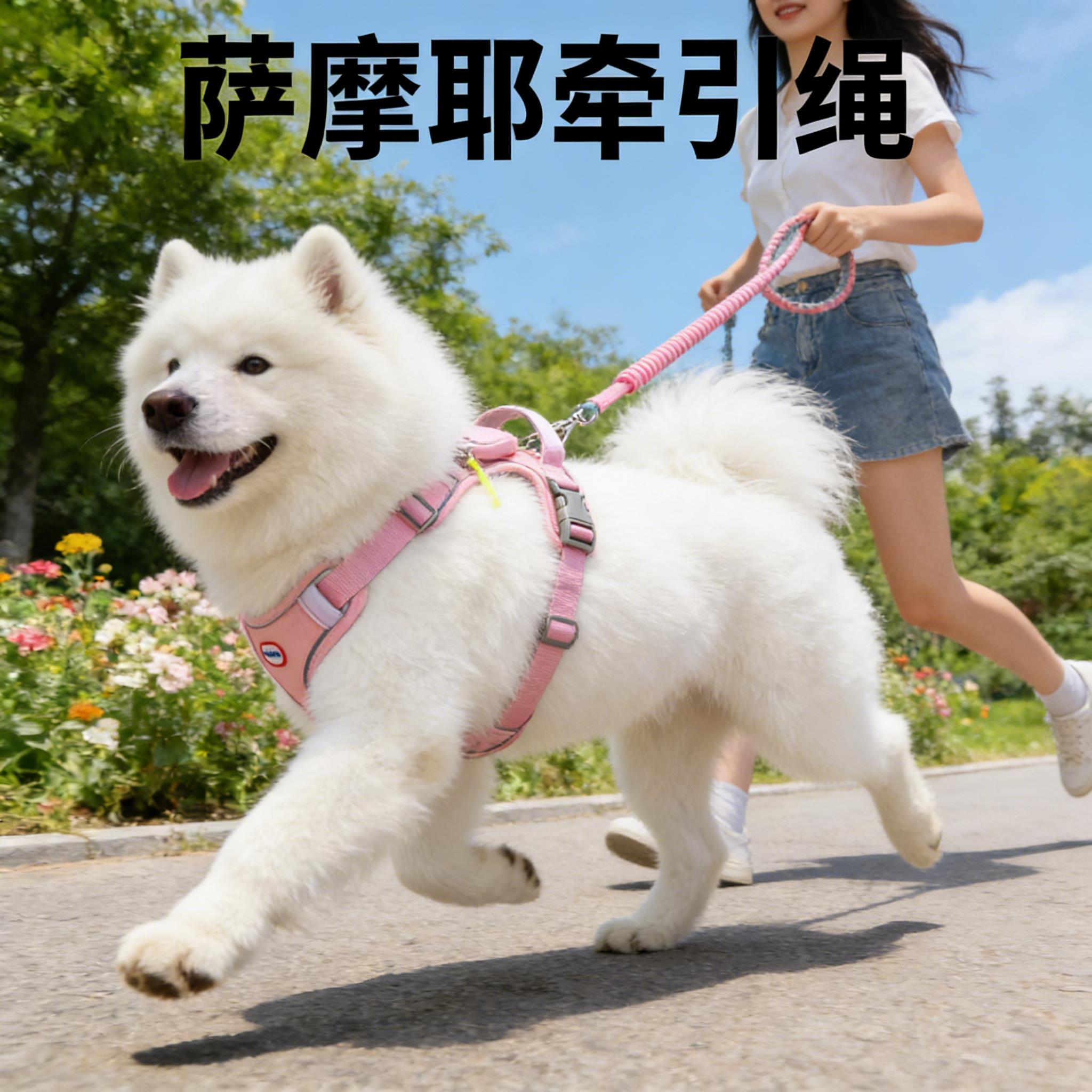 萨摩耶牵引绳中大型犬专用背心式耐用遛狗幼犬小狗狗外出防咬宠物