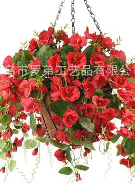 挂篮吊篮衣吊花篮大号吊兰椰春夏季花盆盆椰棕铁架园艺