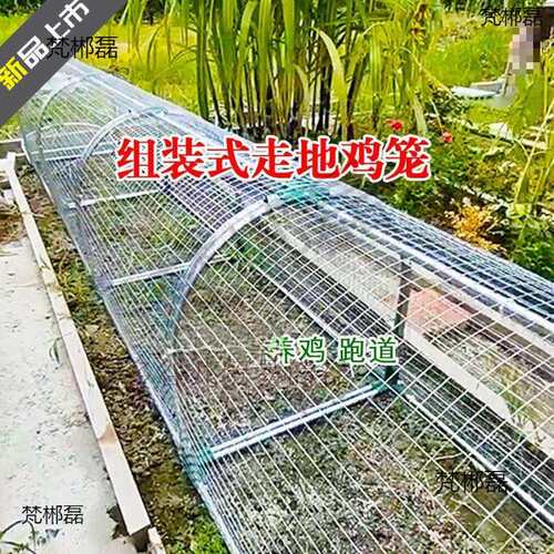 新款养鸡隧道笼管道加密走地鸡笼跑道鸭子隧道农家用散养猫咪