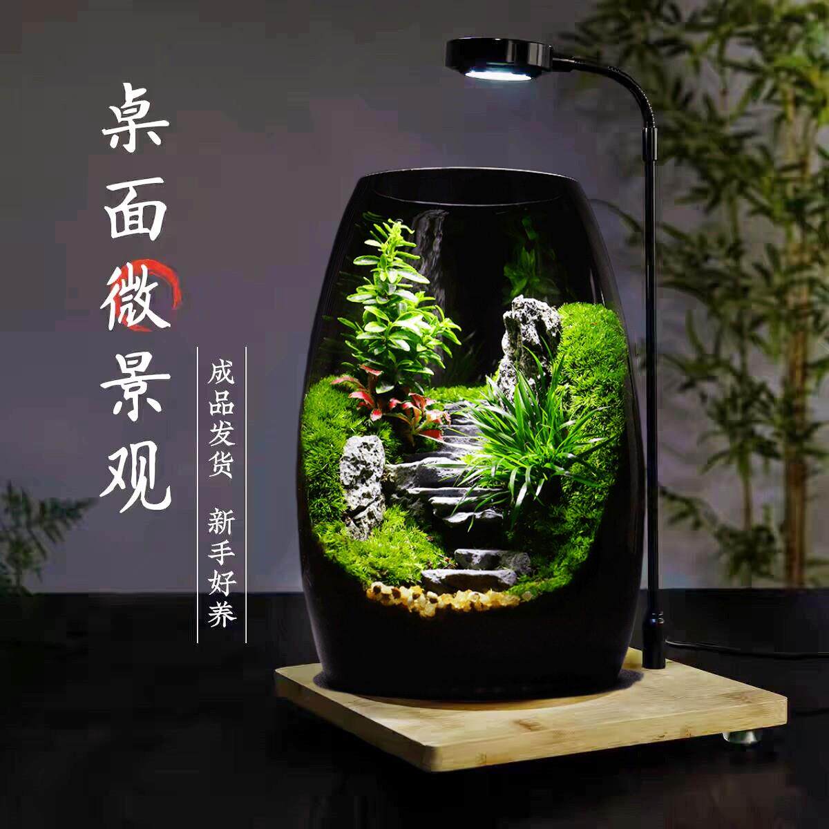 苔藓微景观生态瓶造景植物桌面小摆件悟空玻璃森林生态雨林养鱼缸