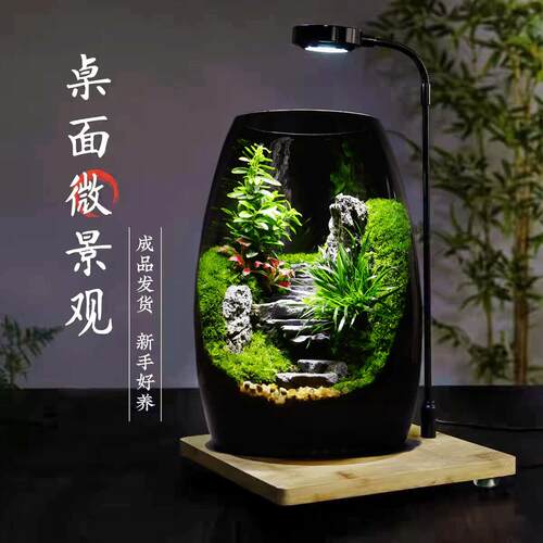 苔藓微景观生态瓶造景植物桌面小摆件悟空玻璃森林生态雨林养鱼缸