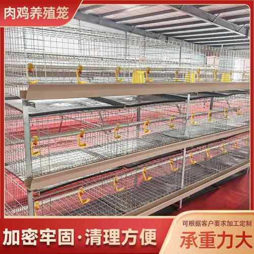 鸡笼框架蛋鸡养殖笼立式层叠养鸡笼阶梯式立体蛋鸡笼