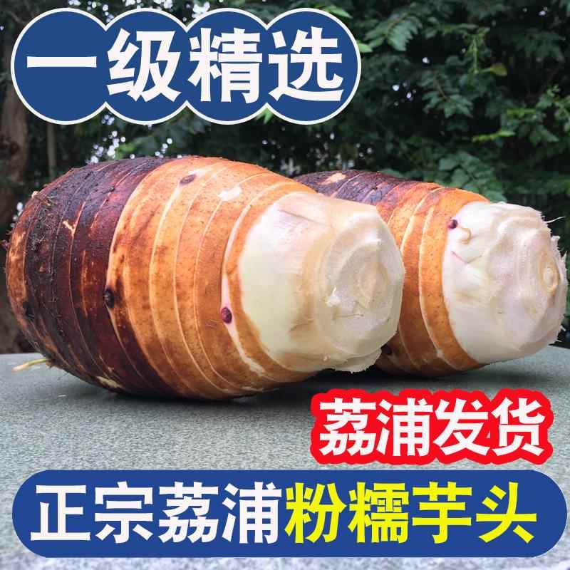 正宗广西桂林荔浦市芋头新鲜大芋头香芋芋粉糯香一级旗舰店