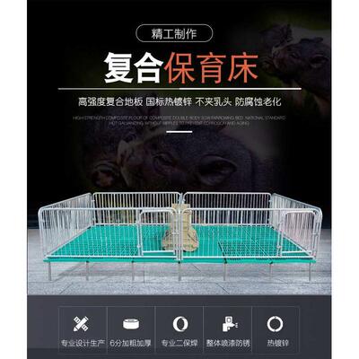 母猪产床保育床一体两用双体分娩床猪用限位栏复合漏粪板养殖设备