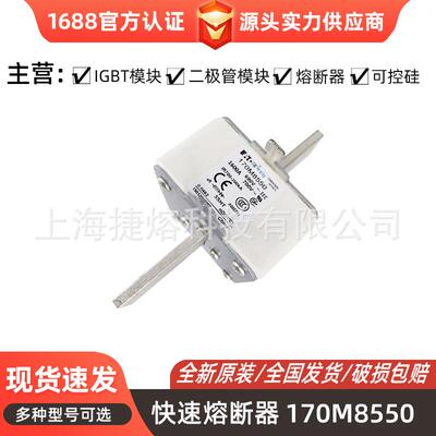 170M8550 170M8554D 快速熔断器 保险丝 电子元器件 量大价优