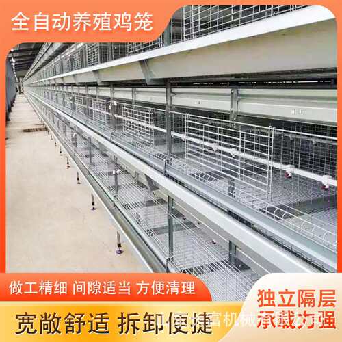 养殖场层叠式H型鸡笼具多层阶梯式蛋鸡笼加粗养殖笼具框架蛋鸡笼