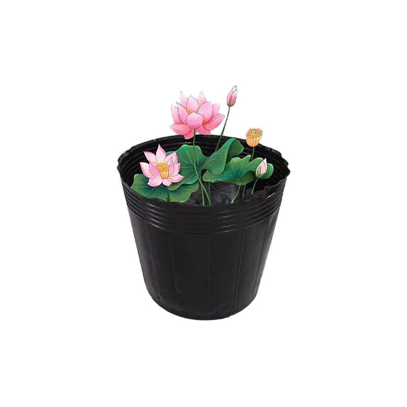 加厚营养杯营养钵无孔荷花营养荷莲花盆睡莲钵花盆孔水培无碗杯