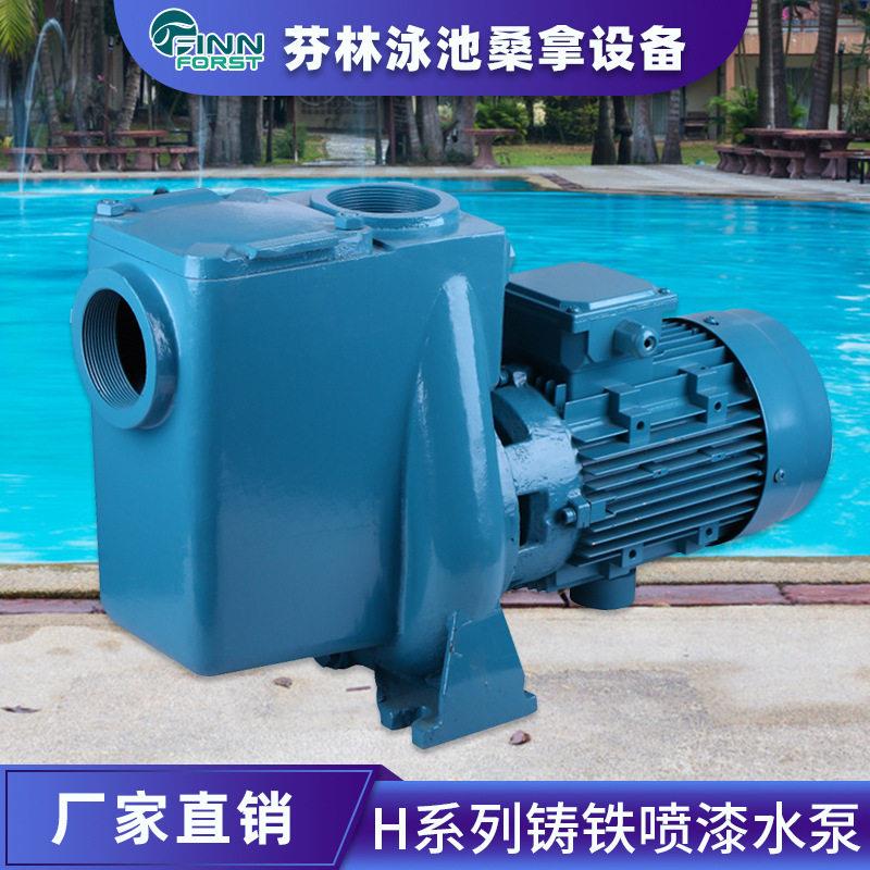 H系列铸铁泵循环过滤带毛发收集器泳池大功率吸污物净脏水设备