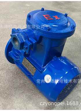 YPB90 防爆流电机直 直永流爆24V4防8V4160V防爆磁无刷电机