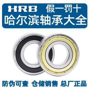 6408 6407 6409 6410 6412 HRB6403哈尔滨6404轴承6405 6411 6406