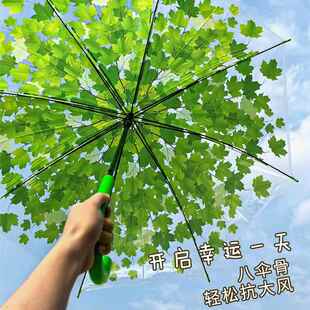 高颜值网红长柄枫叶雨伞拍照伞公主儿童伞透明雨伞大号树叶雨伞