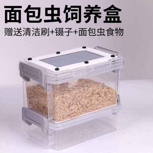 面包虫饲养盒九龙虫大麦虫养殖盒筛粪便筛饲养箱筛选透气便携