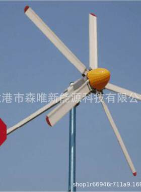 1千瓦风光互补系统1KW小型风力发电机1000W家用水平轴风力涡轮机
