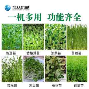 全自芽苗育机商用恒278动温淋水箱式 培花生芽种子催芽设备厂家直