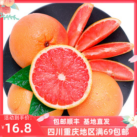 西柚葡萄柚新鲜进口水果鲜榨果汁食材grapefruit1个