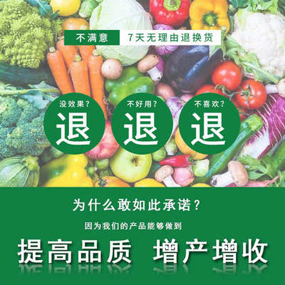 德施蔓液硼流体硼保花保果膨果花芽分化防裂果农用硼肥水溶叶面肥