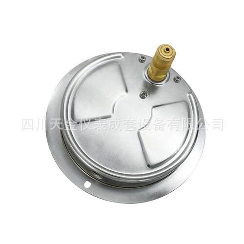 大成不锈钢精密压力表YTNB-150ZT轴向带边耐震精密压力表1.6MPA