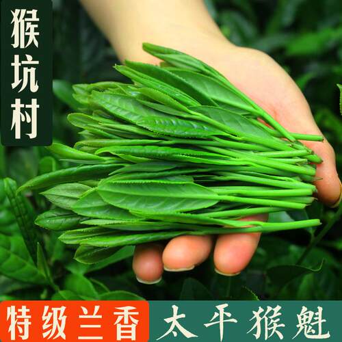 .2025新茶上市正宗太平猴魁特级兰香猴坑村开园头采手工捏尖绿茶