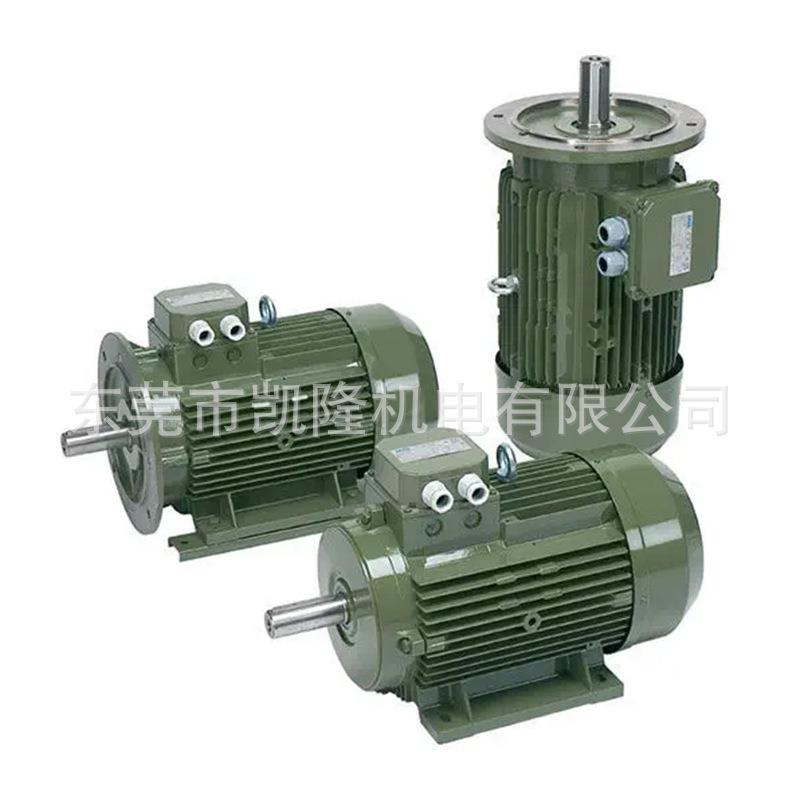 SAER交流电机CH80M4