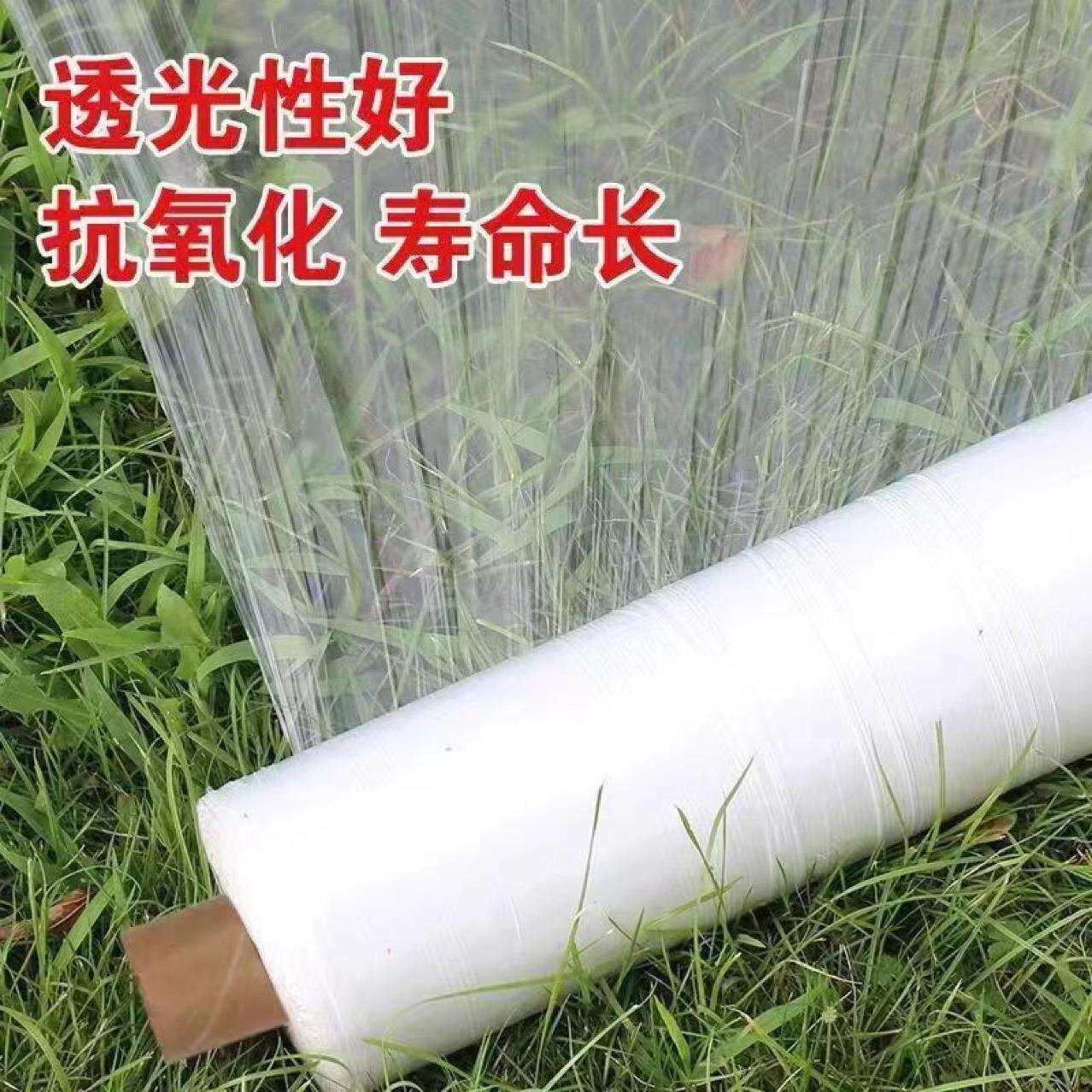 农用透明塑料种菜小拱棚膜膜塑胶布保温地膜防寒聚彩其他实用