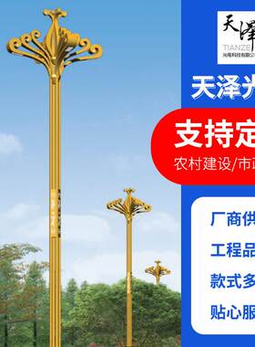 厂家直供城市亮化工程中华灯户外照明玉兰灯中华路灯组合