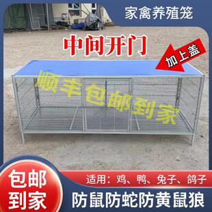 芦丁鸡专用笼小鸡笼雏鸡家用笼子加密厚烤漆鸭笼加密宠物笼鹌鹑笼