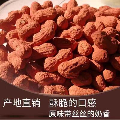 福建特产龙岩红泥花生龙岩湿烤花生奶香味香酥脆带壳花生闽西特产