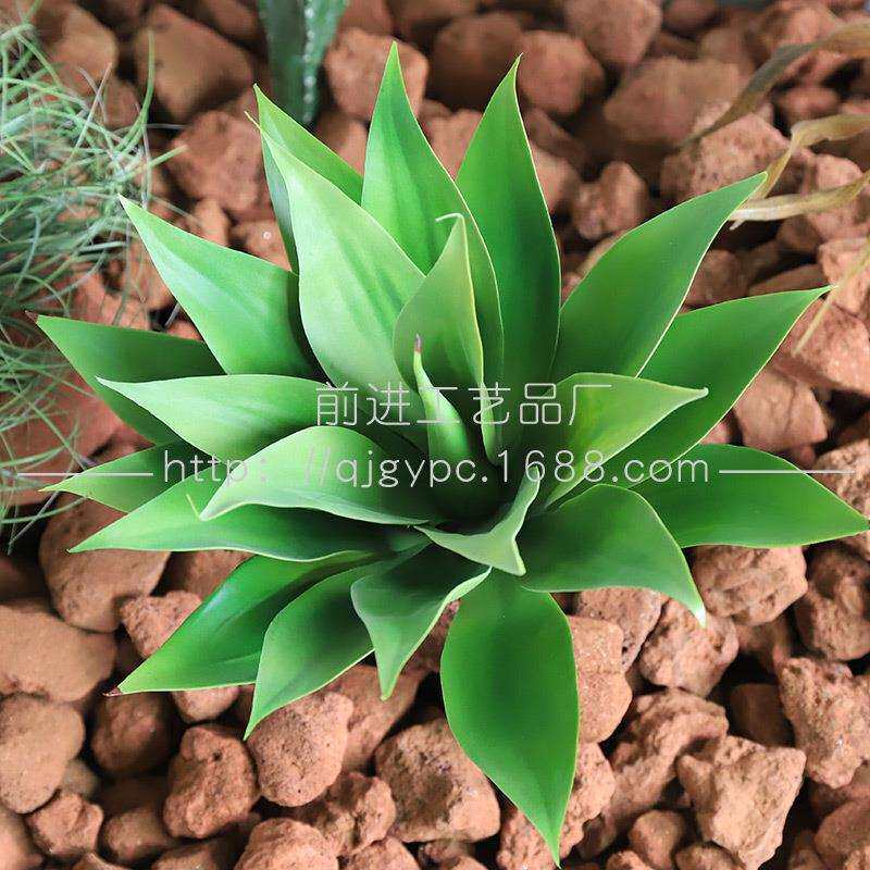 成套绿植景观套装沙生植物仿真绿植堆景造景仙人掌龙舌兰景观装饰