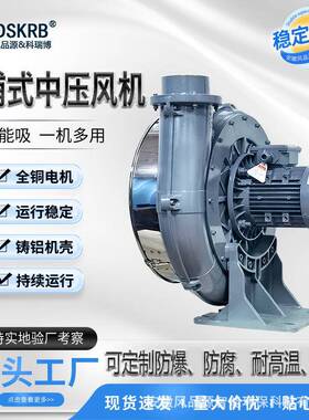 TB200-1511KW吹石墨粉透浦式中压风机15KW大风量透浦式中压风机