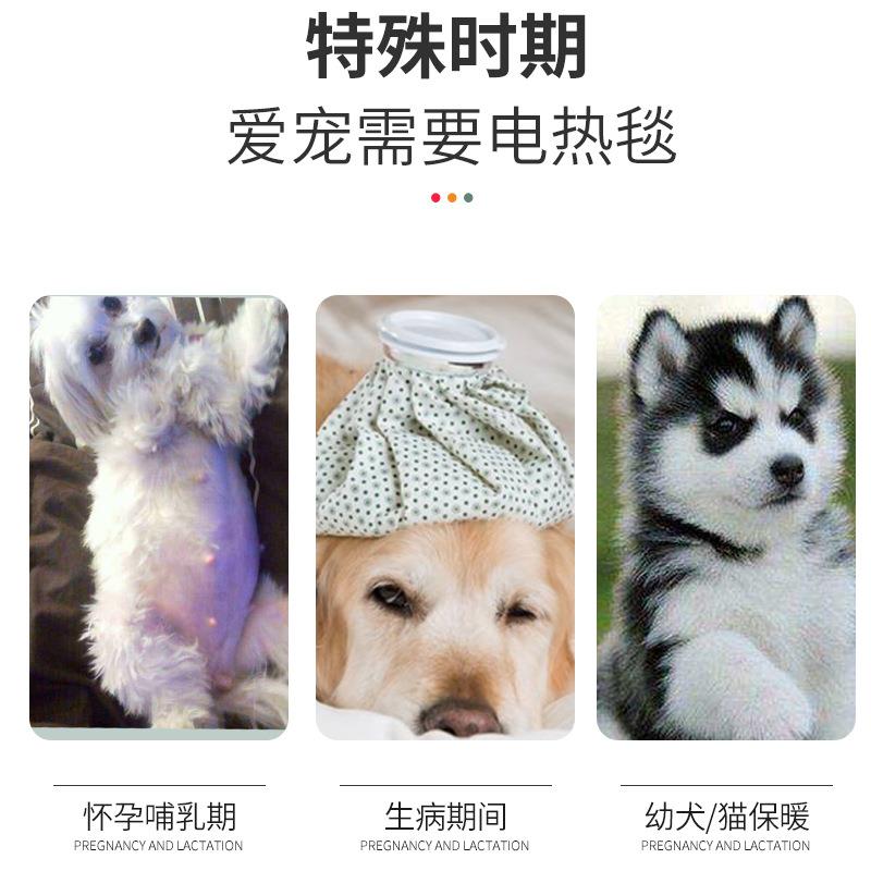 宠物防水电热毯 狗狗猫咪加热垫恒温三挡可调 防抓防水宠物电热毯