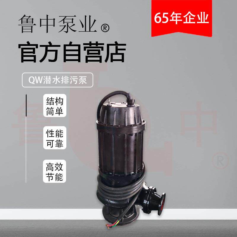 150QW150-15-15系列潜污泵 鲁中牌精工细作成就产品品质