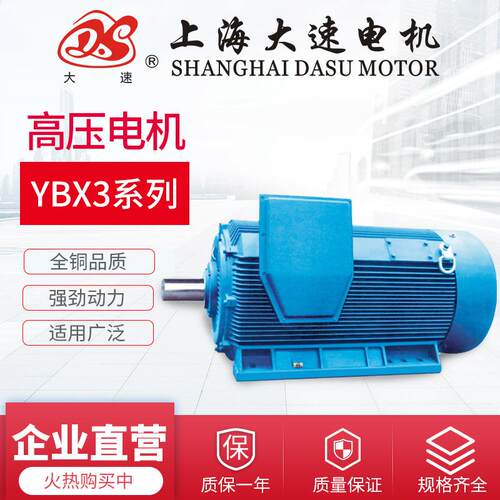 上海电机供应YBX3高压防爆三相异步电动机坚固高压电动机
