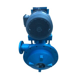 厂家供应滤液泵FPB150-80滤液泵气体分离器真空克负泵