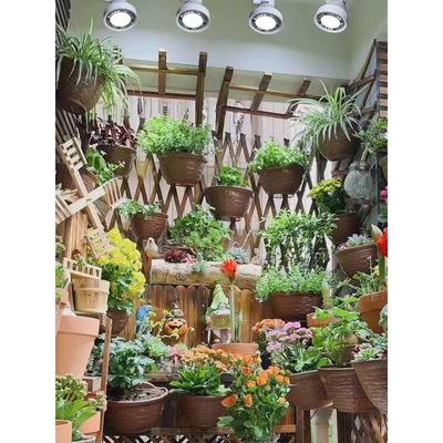 植物生长射灯雨林缸专用花卉室内生态造景全光谱仿太阳轨道补光灯