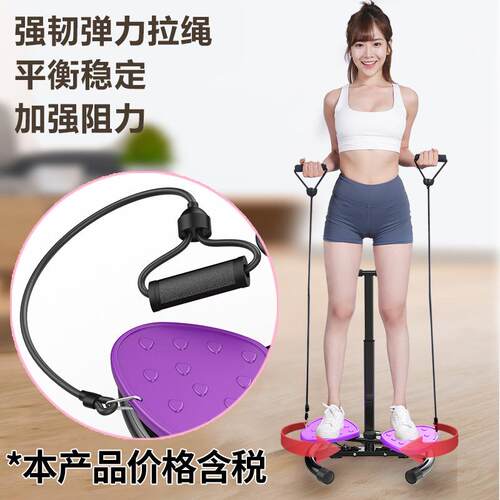 Home waist twisting machine reduce weight Fitness Equipment