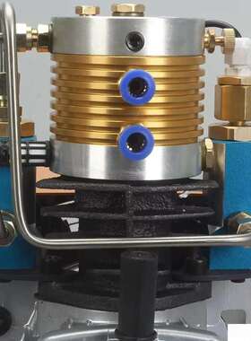 220V 80L/min 4500Psi 300Bar 30Mpa自动停止PCP泵高压空气压缩机