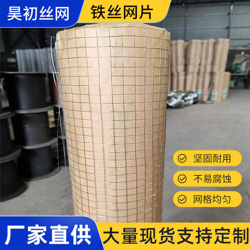 假山专用铁丝网镀锌电焊网建筑水泥防裂保温网电焊网格批发建筑防