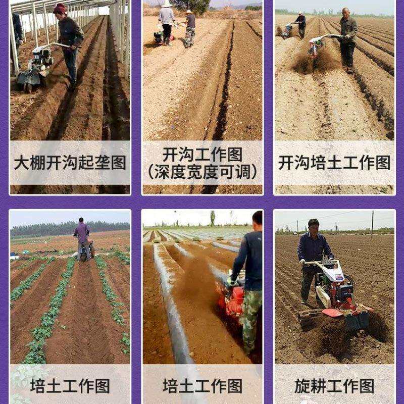 草莓起隆开沟机大葱开沟培土机田园管理机大生姜犁地深沟果园培土
