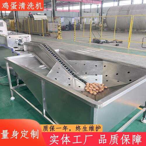 不锈钢蛋类清洗机蛋品清洗风干光检分级喷油喷码洗蛋机保洁蛋机