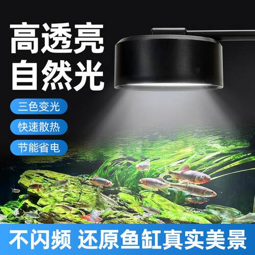 鱼缸灯led筒灯原生溪流缸全光谱水草照明造景灯usb爆藻观赏鱼缸灯