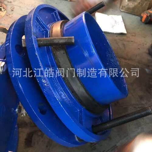 江苏厂家现货供应法兰式限位水表伸缩过滤器DN100