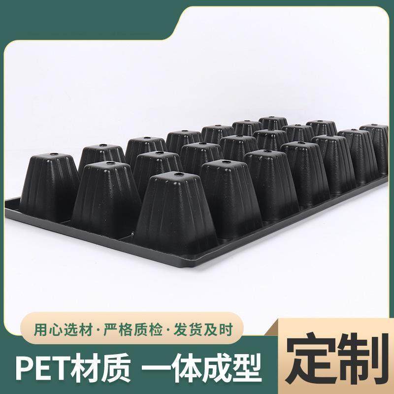 蔬菜育苗穴盘大容量塑料加厚育苗盘蔬菜种植苗盘秧盘营养钵