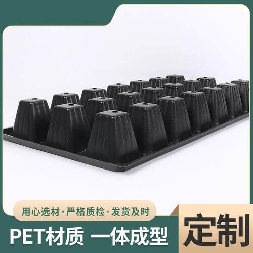 蔬菜育苗穴盘大容量塑料加厚育苗盘蔬菜种植苗盘秧盘营养钵